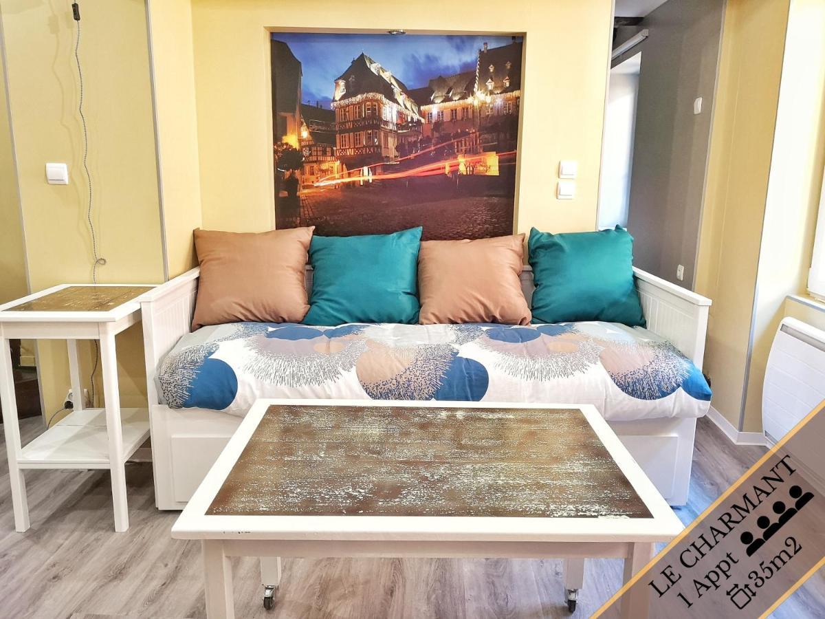 Splendide Appartement Barr - Route Du Vins Екстер'єр фото
